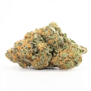 California Orange Strain